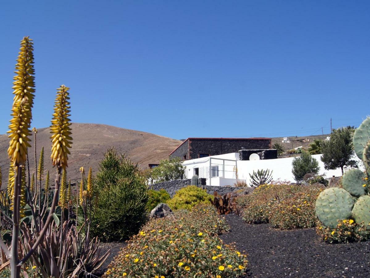 Castillo Lanzarote Villa Winni - Luxury Villa - Pet Friendly With Heated Pool Ла-Асомада Экстерьер фото