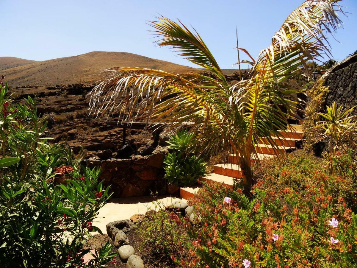 Castillo Lanzarote Villa Winni - Luxury Villa - Pet Friendly With Heated Pool Ла-Асомада Экстерьер фото